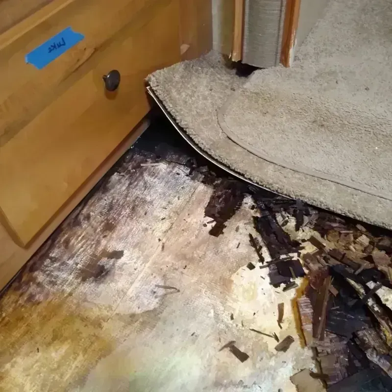 Wood Floor Water Damage in Marion County, AR